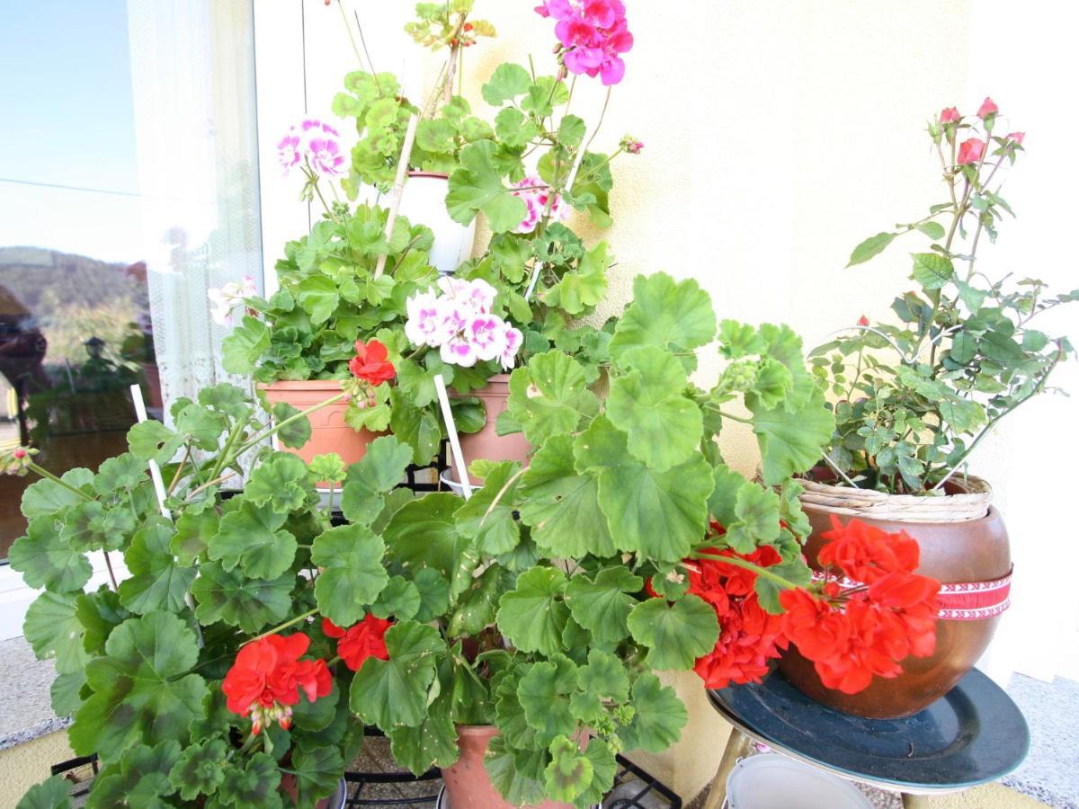 פלדקירשן אין קרנטן Apartment In Feldkirchen Near Ossiacher See מראה חיצוני תמונה